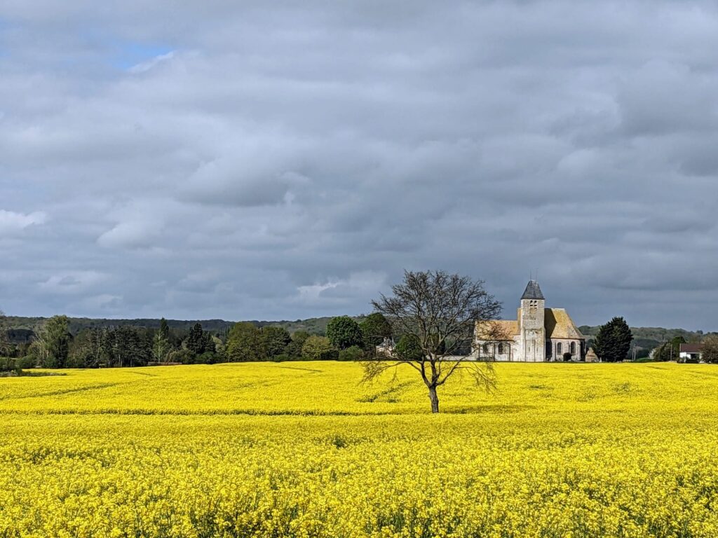 eglise_et_champ_gambais